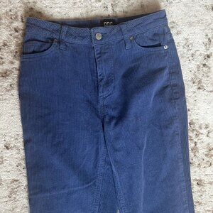 BDG Blue Corduroy Pants